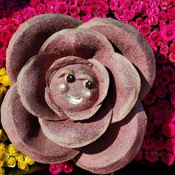 Float Fest - Festivals Near Me - Pasadena, California Float Fest - Festivals Near Me - Pasadena, California