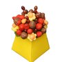 Photo of Tooty-Fruity
