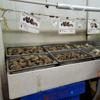 Two Cousins Fish Market - Clams - Seafood Markets Near Me - Freeport, New York Two Cousins Fish Market - Clams - Seafood Markets Near Me - Freeport, New York