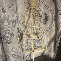 Bird cage hook