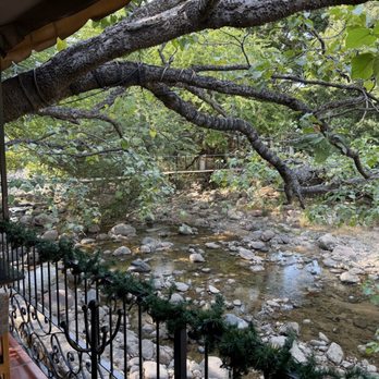 Tintoque - River in the patio - Signature Cuisine Near Me - Puerto Vallarta, JAL