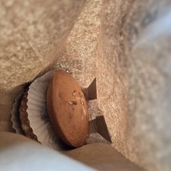 New Roma Bakery