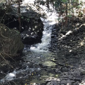 Hike Maui - Tours Near Me - Kahului, Hawaii Hike Maui - Tours Near Me - Kahului, Hawaii