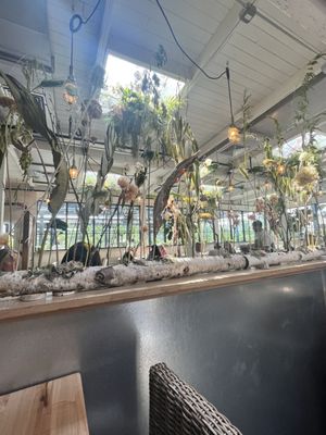 Terrain Cafe by null