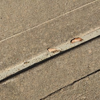Concrete Raising Corporation - Embedded leaves (they can't be removed). - Masonry/Concrete Near Me - Houston, Texas Concrete Raising Corporation - Embedded leaves (they can't be removed). - Masonry/Concrete Near Me - Houston, Texas