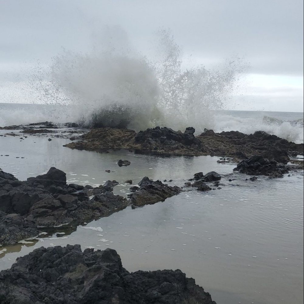 Out on the rocks
