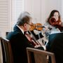 Photo of Forte Strings