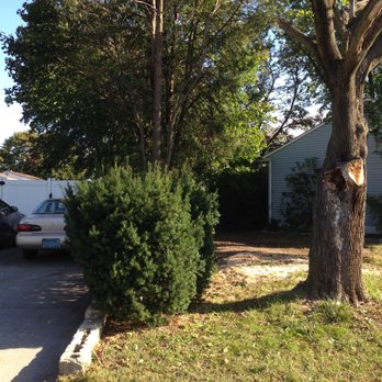 Spinelli's Tree Service - completed - Tree Services Near Me - Monroeville, New Jersey