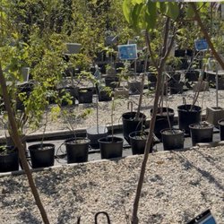 Rainbow Gardens - Beautiful Nursery
