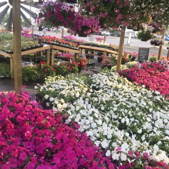Sunshine Grow Shop - Gardeners Near Me - Lexington, Kentucky Sunshine Grow Shop - Gardeners Near Me - Lexington, Kentucky