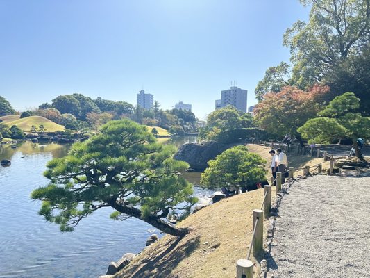Suizenji Jojuen Garden by null