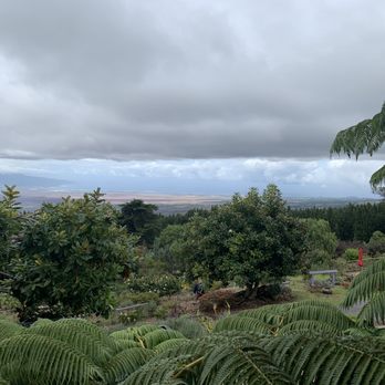 Ali'i Kula Lavender - Tours Near Me - Kula, Hawaii