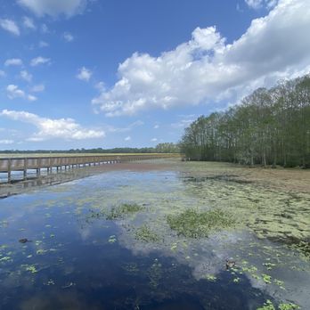 Orlando Wetlands - Parks Near Me - Christmas, Florida