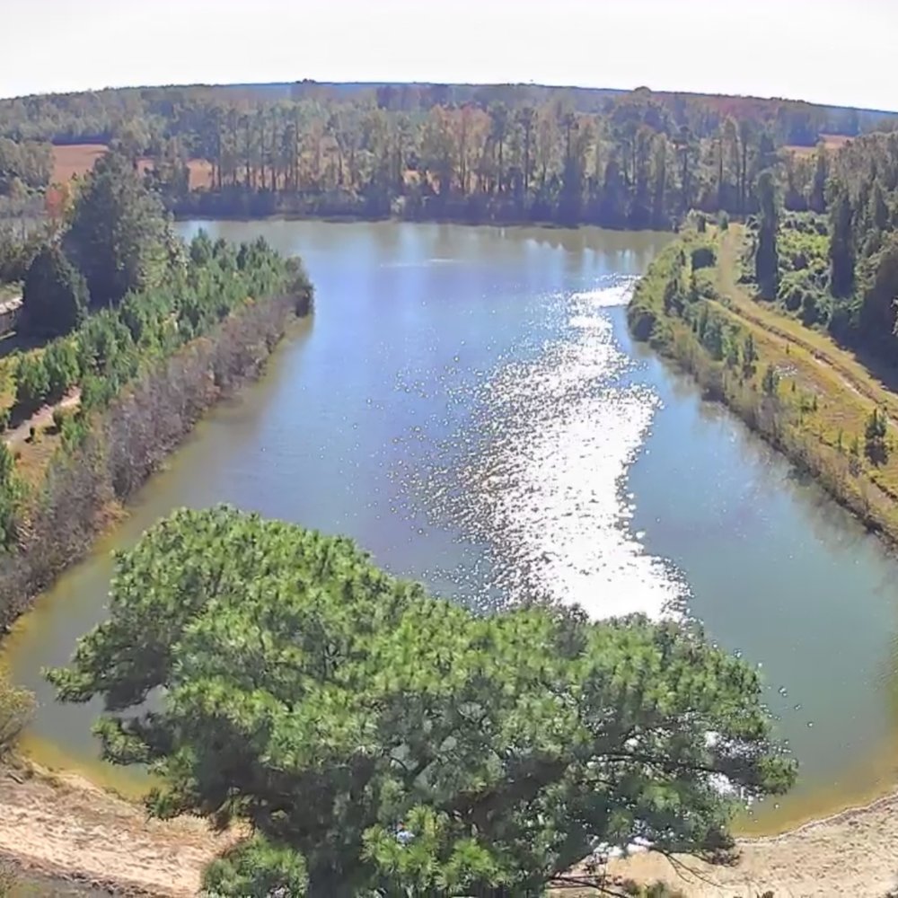 Magnolia Lane Campground - above our sight with drone - RV Parks Near Me - Pollocksville, North Carolina Magnolia Lane Campground - above our sight with drone - RV Parks Near Me - Pollocksville, North Carolina