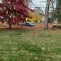 Call Nick Property Maintenance