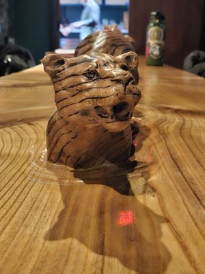 Gato Exotico by null