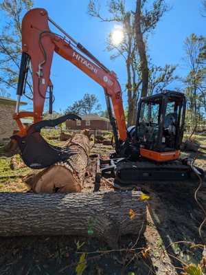 Large Tree Removal - We specialize in lot clearing and grading. We also offer tree removal, mulching and brush control.