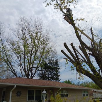 A&J Tree Service - Tree Services Near Me A&J Tree Service - Tree Services Near Me