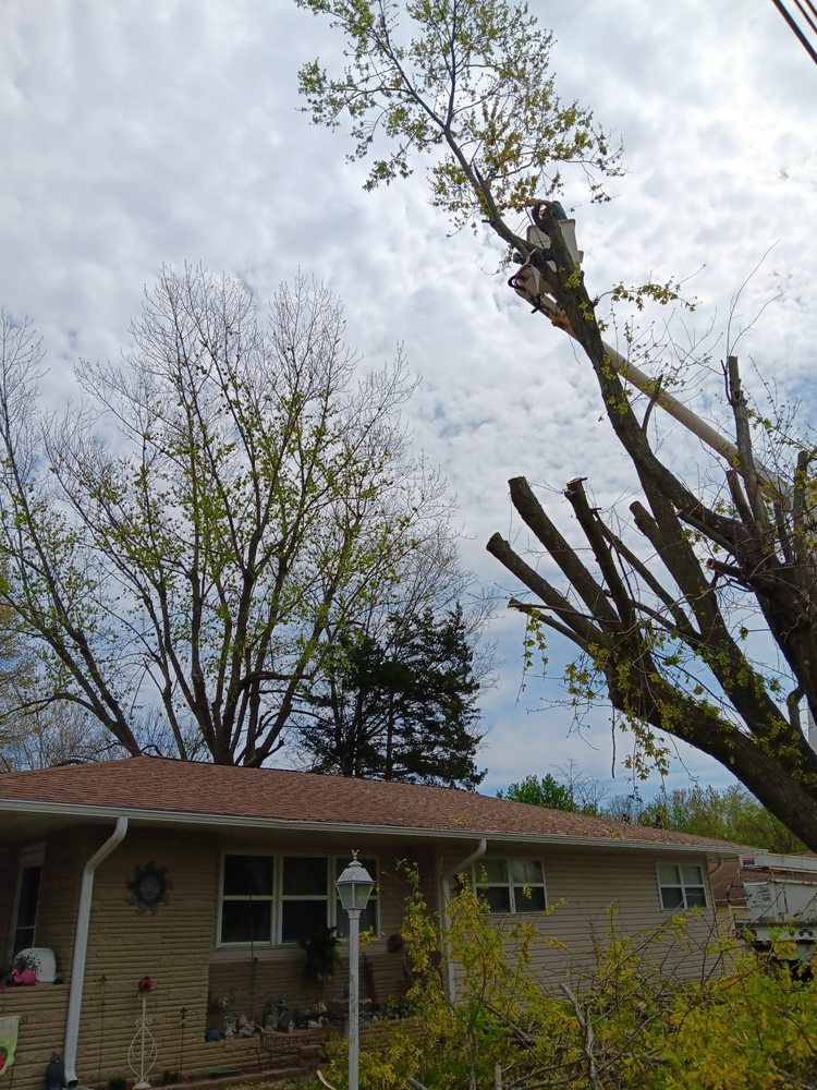 A&J TREE SERVICE - Updated June 2026 - Request a Quote - Cassville ...
