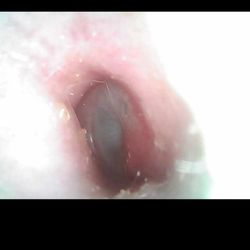 UNLV Health Ear Nose & Throat Clinic