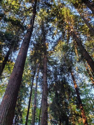 Carkeek Park by null