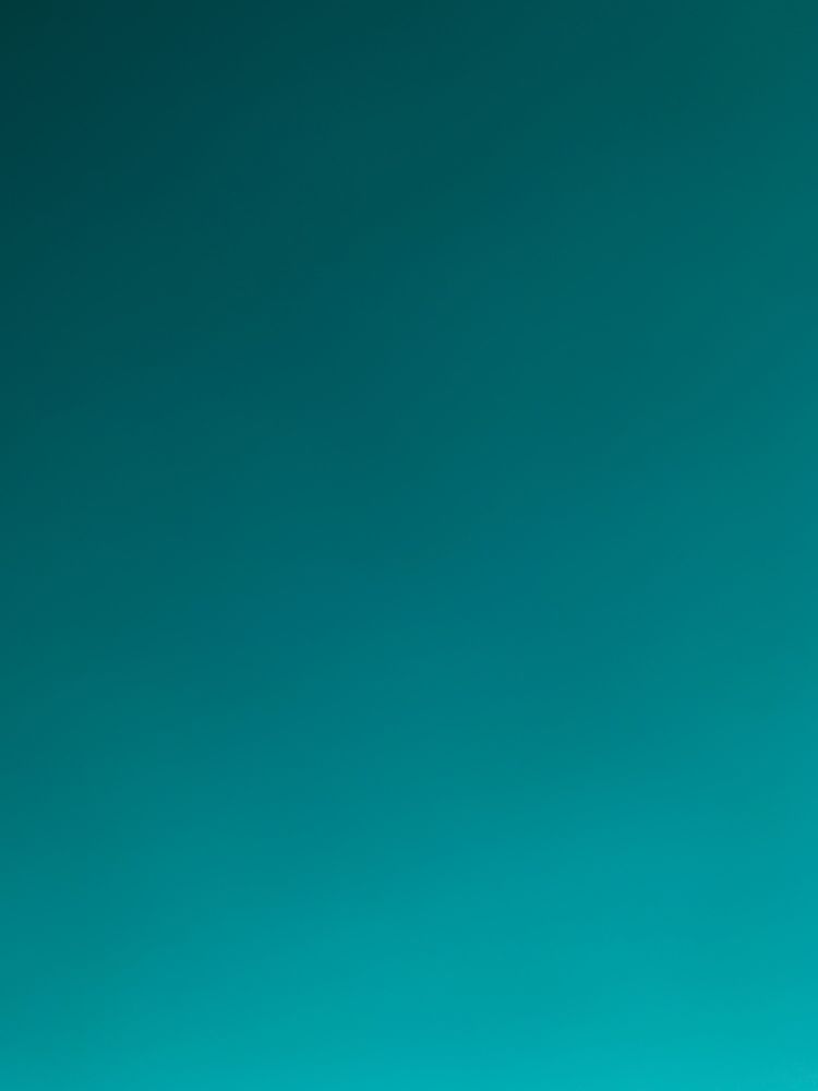 ST JOHN VIANNEY PARISH 17500 Gebhardt Rd, Brookfield, WI Yelp