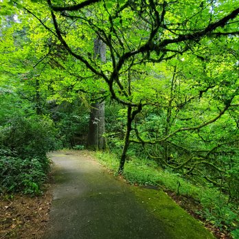 Hoyt Arboretum - Trail - Botanical Gardens Near Me - Portland, Oregon