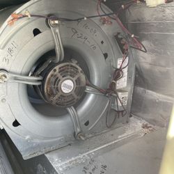Rosario Maintenance