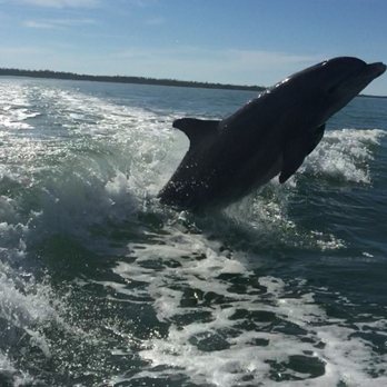 Breakwater Adventures - Tours Near Me - Goodland, Florida Breakwater Adventures - Tours Near Me - Goodland, Florida