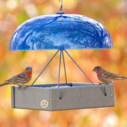 Wild Birds Unlimited - Lightweight, versatile, and bird-friendly! Our FeatherWeight Hanging Tray is perfect for seed, peanuts, Bark Butter Bits®, fruit, and more.
