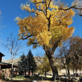 DA Ranch - Wineries Near Me - Cornville, Arizona
