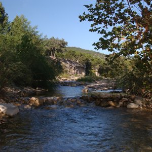 Foxfire Cabins 15 Photos Vacation Rentals 117 Olsen Ranch Rd