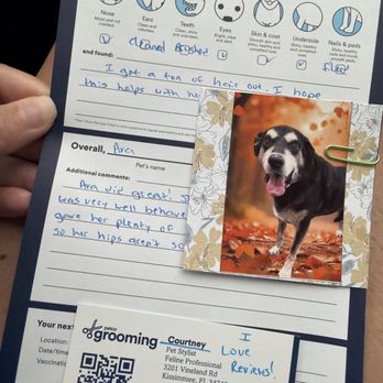 Petco - Report card - Pet Training Near Me - Kissimmee, Florida Petco - Report card - Pet Training Near Me - Kissimmee, Florida