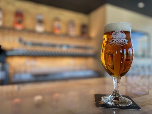 Pocock Brewing Public House by null
