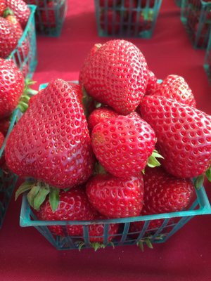 Willow Glen Farmers' Market by null