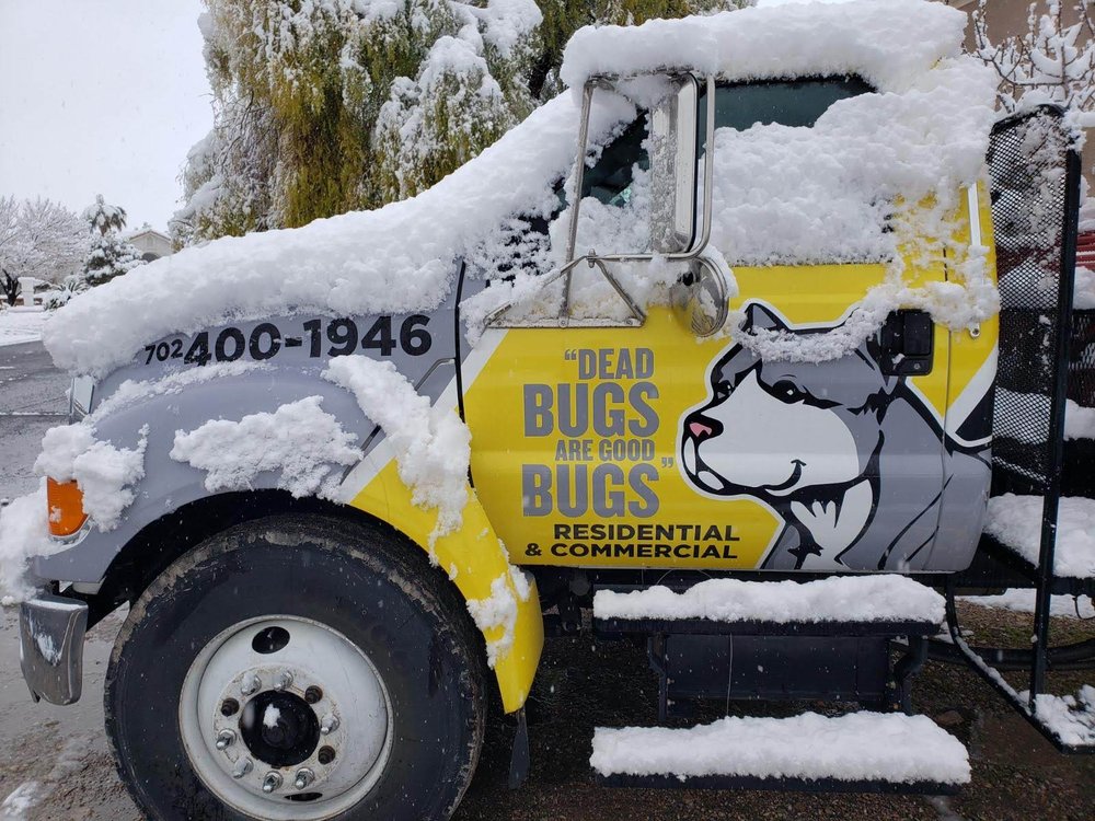 PITBULL PEST CONTROL 41 Photos & 64 Reviews 7500 W Lake Mead Blvd