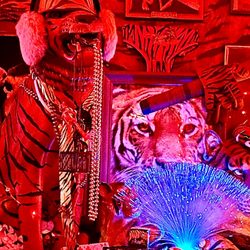 Le Tigre Lounge - And the tigers do dress up for the thirsty patrons!