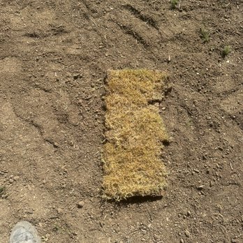 King Ranch Turfgrass - Artificial Turf Near Me - Arlington, Texas King Ranch Turfgrass - Artificial Turf Near Me - Arlington, Texas