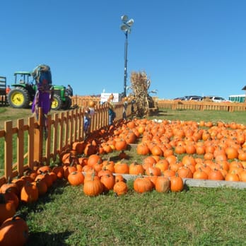 Summers Farm - Pumpkins - Attraction Farms Near Me - Middletown, Maryland