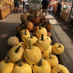 Gasko's Family Farms