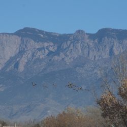 Los Poblanos Fields Open Space