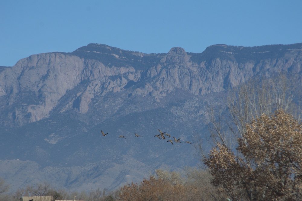 Los Poblanos Fields Open Space