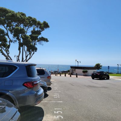 Bollywood Zaika by null