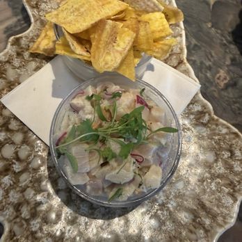 Myrtle & Rose Rooftop Bar - Peruvian Ceviche - Cocktail Bars Near Me - Savannah, Georgia
