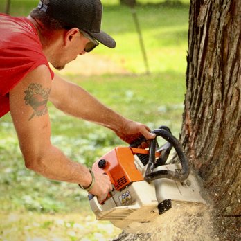 The Tree Company - Tree Services Near Me - Springfield, Tennessee The Tree Company - Tree Services Near Me - Springfield, Tennessee