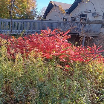 LAKE KATHERINE NATURE CENTER & BOTANIC GARDENS - Updated May 2026 - 323 ...