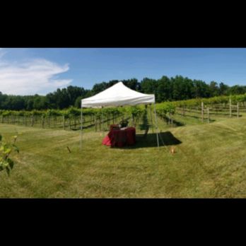 Flying Otter Vineyard & Winery - Music Venues Near Me - Adrian, Michigan