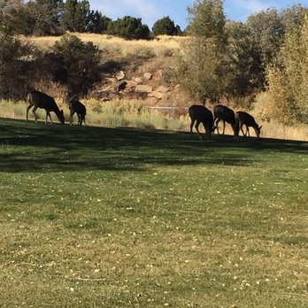 Hideout Golf Club - Fivesome - Golf Near Me - Monticello, Utah Hideout Golf Club - Fivesome - Golf Near Me - Monticello, Utah