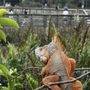 Photo of Green Cay Wetlands