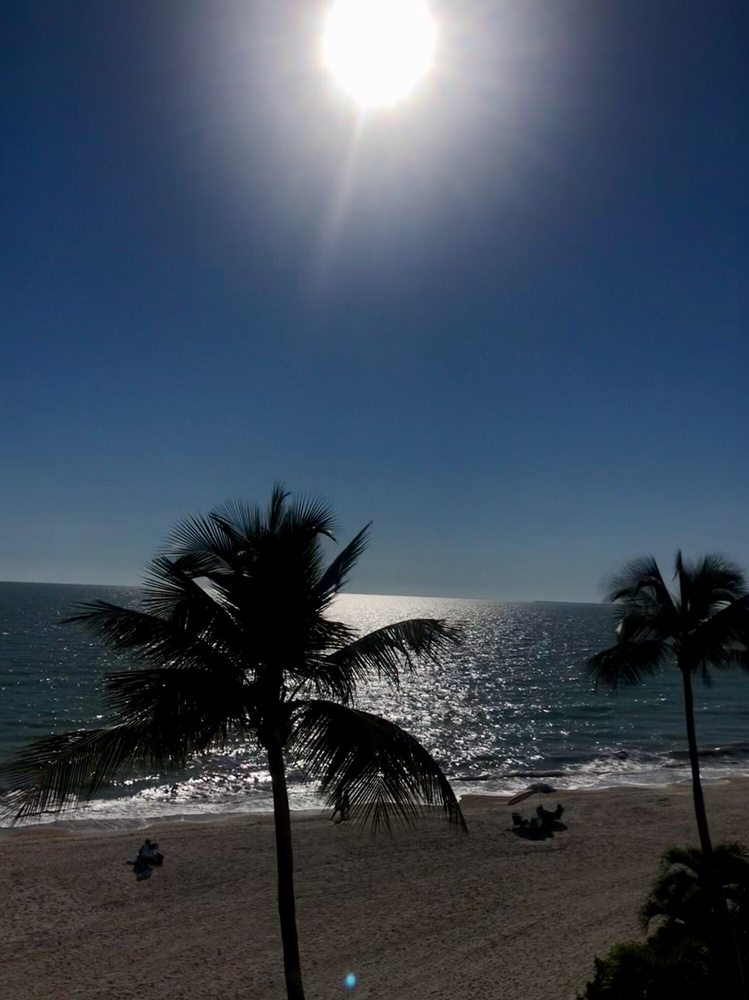 LEONARDO ARMS Updated September 2024 7400 Estero Blvd, Fort Myers